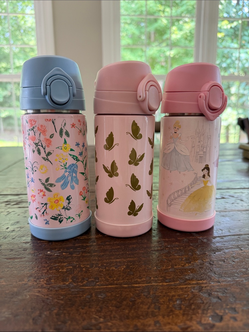 Pottery Barn Kids Pink and Blue Floral & Princess Stainless Steel Water Bottles